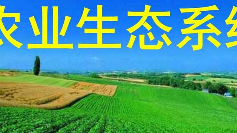 有机蔬菜，如何挑选十大口碑品牌？**