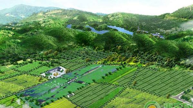农业产业园选模：因地制宜，共谋发展之道**