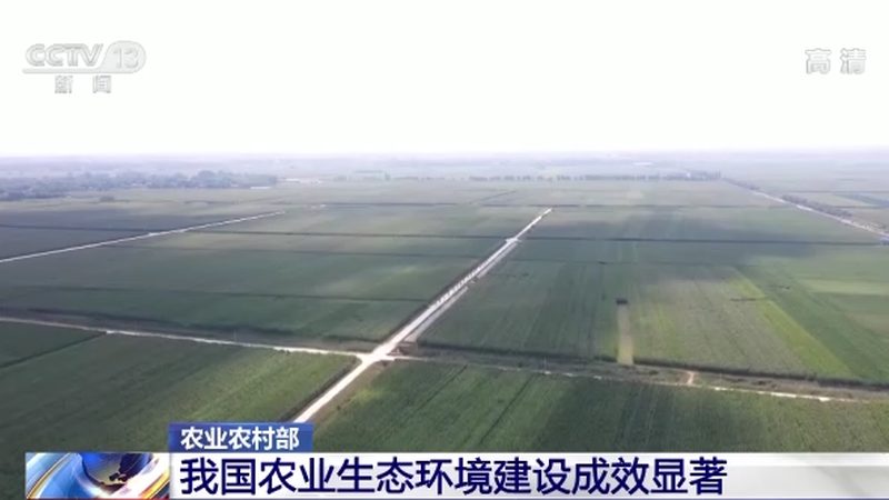 社区果蔬配送公司排名