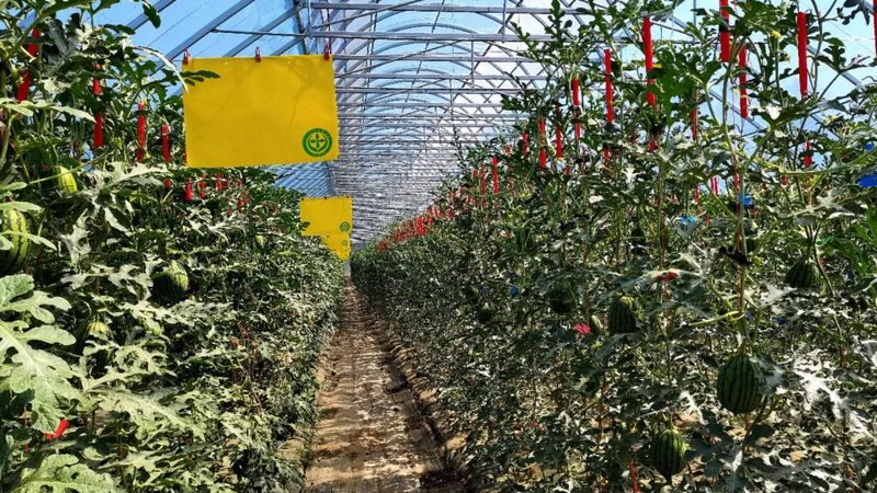 冷库制冷机组选型：如何精准把握关键要素**