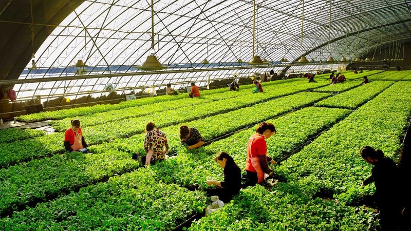 农资肥料农药，分类知多少？**