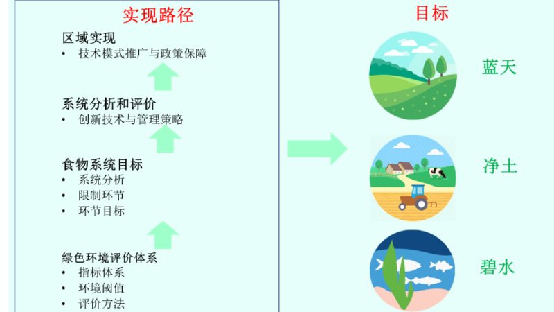 无公害食品认证，从田间到餐桌的绿色守护