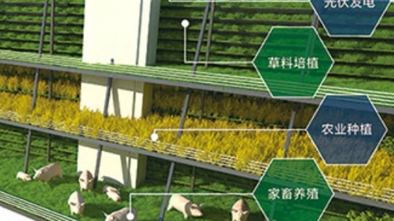 现代农业观光园景观设计方案推荐：打造生态与观光的完美融合