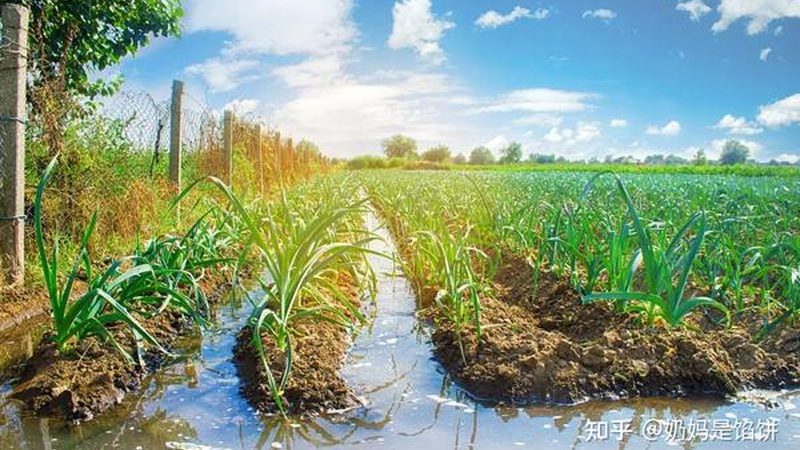 家庭农场设施农业：价格构成与投资考量**