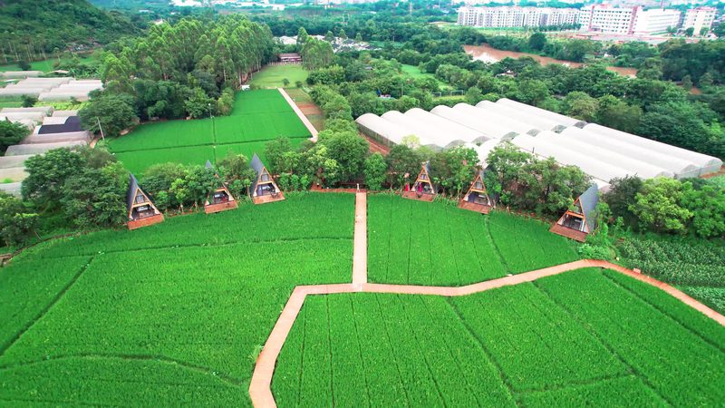 农业产业园种植品种规格全解析：如何科学选择**