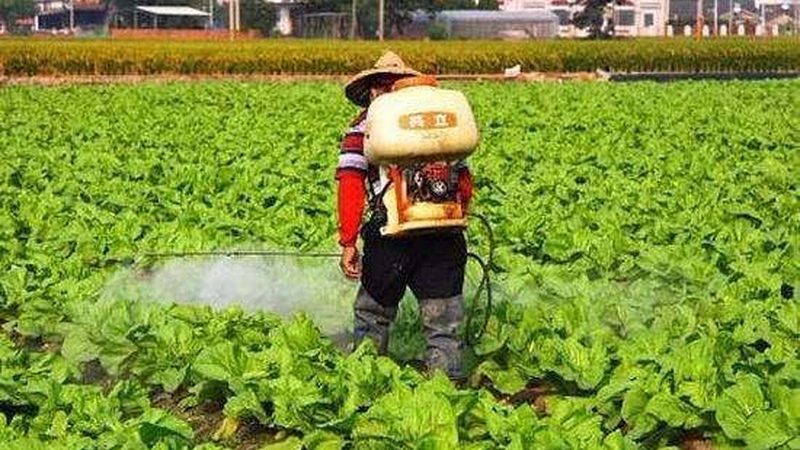 农资复合肥规格参数表：解码农业生产的精准营养**