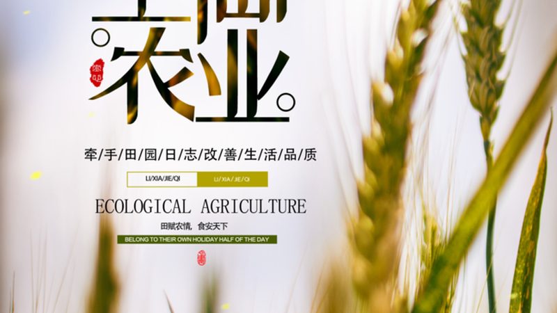广州家庭农场蔬菜配送：如何确保绿色健康与高效流通